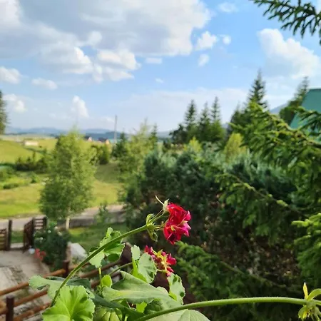 Mountain Star Villa Zabljak  Exterior photo