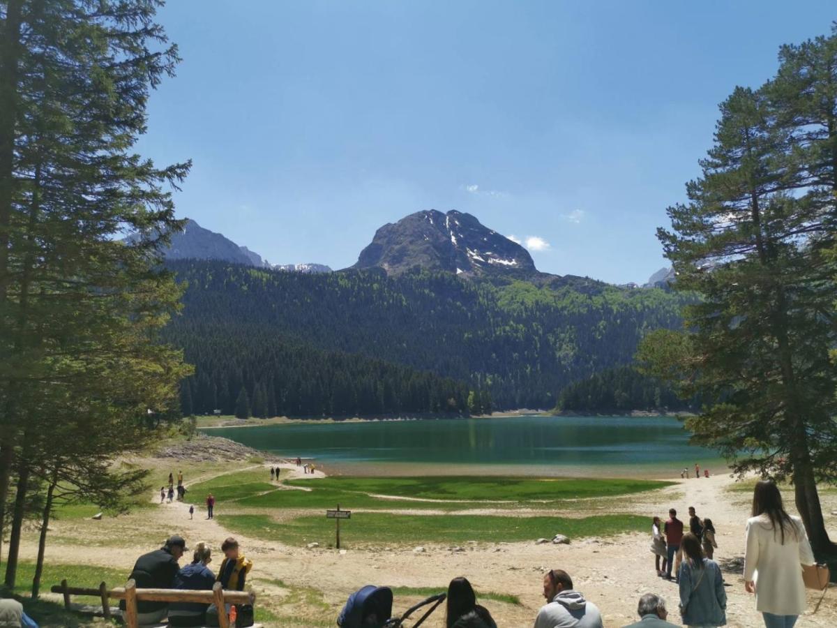 Mountain Star Holiday home Zabljak (Zabljak)