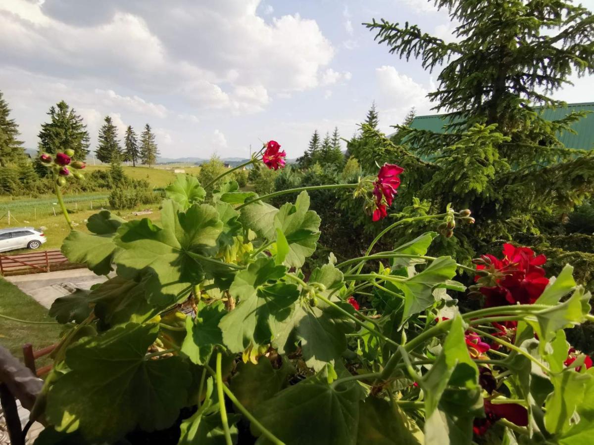 Ferienhaus Mountain Star Žabljak