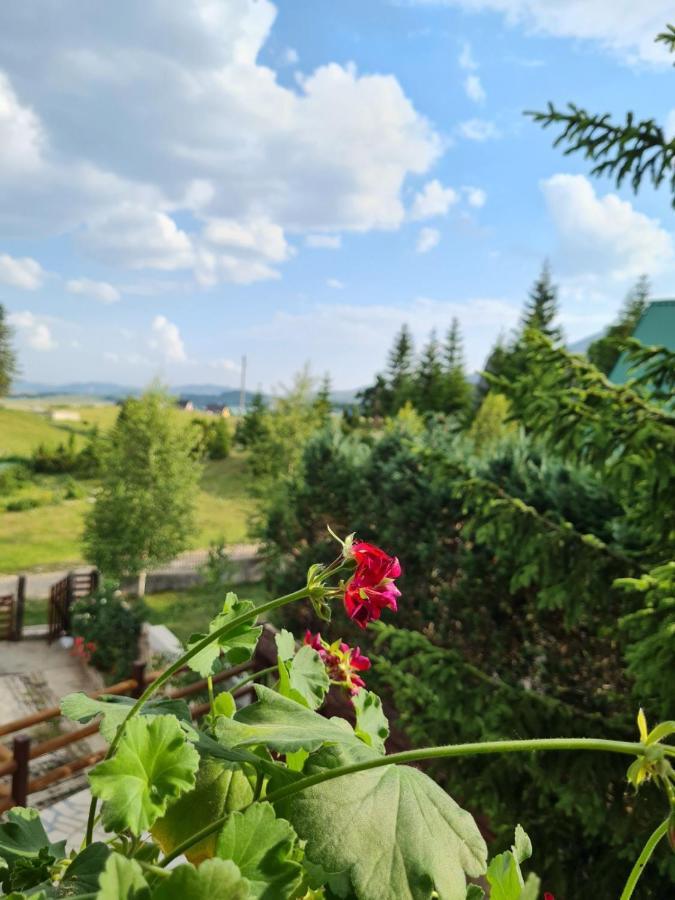 Mountain Star Holiday home *