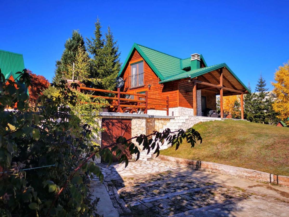 Mountain Star * Zabljak (Zabljak)